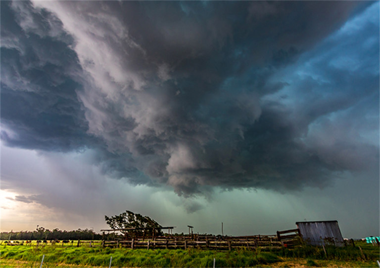 Storm___600x424.png