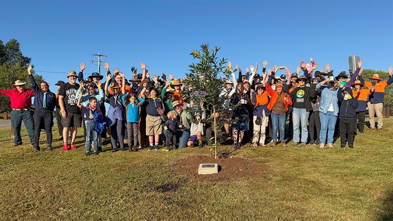 100,000th tree being planted at Takura Community Tree Planting event