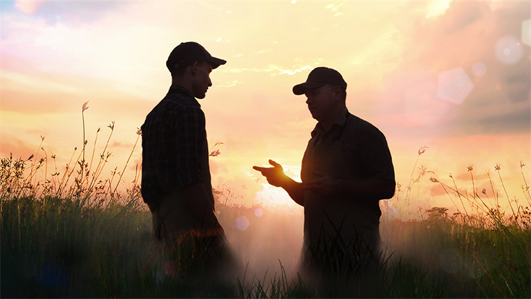People talking in a field at sunset