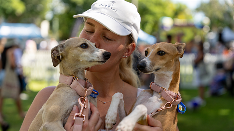 Owner and pet dogs at Dogs Day Out