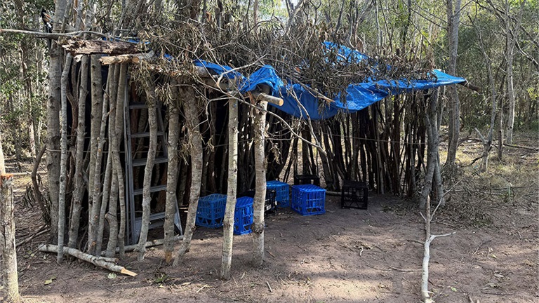 Illegal vegetation damage at Fay Smith Wetlands, makeshift shelter