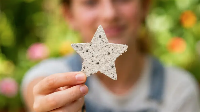 Person holding star shaped seed paper 