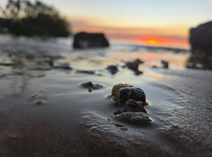 Photograph taken by Jace Ogilvie, titled Sand and Sunset. Close up photo of wet sand and rocks with sunset in background.