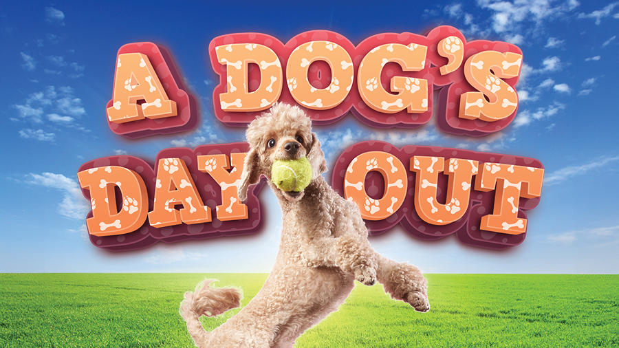 A-Dogs-Day-Out_Website-Event-Image_900x506.jpg