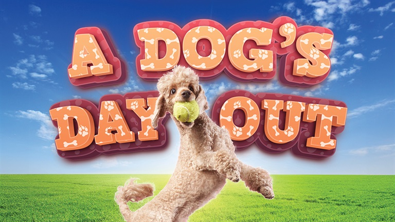A Dog's Day Out banner with dog holding a tennis ball