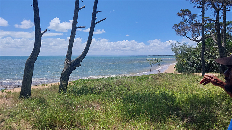 'The Kitchen' on the Pialba Foreshore