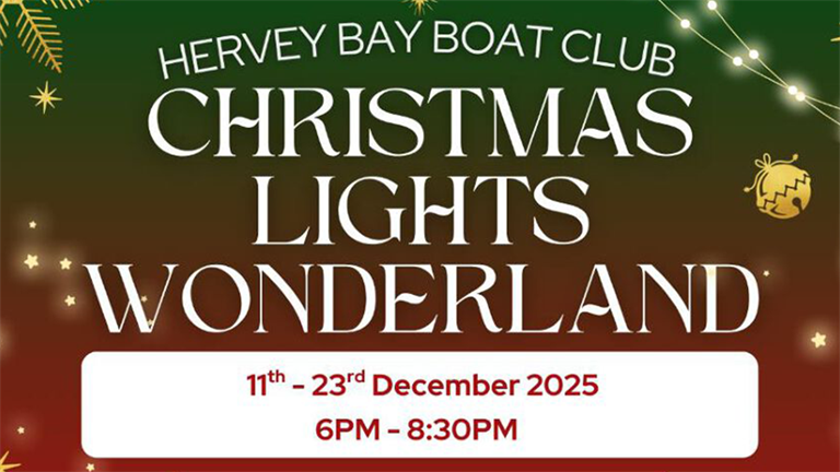 Christmas Lights Wonderland