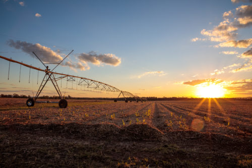 Large watering system over sugarcane crop near Tiaro