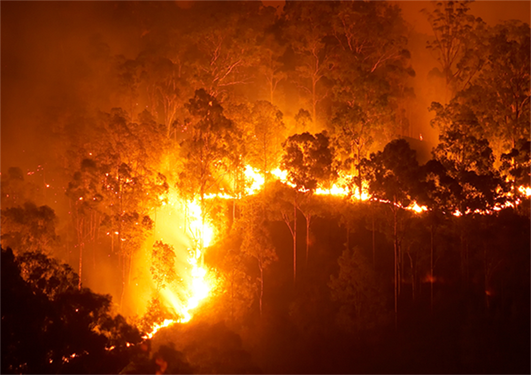 New bushfire plan to help protect local communities | Fraser Coast ...