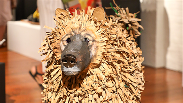 Ruth Muller - Peoples Choice Winner 2025 - 18+ category