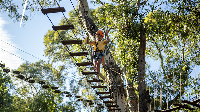 Young child on TreeClimb course