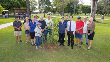 Kauri Pine tree in memory of Peter Olds OAM