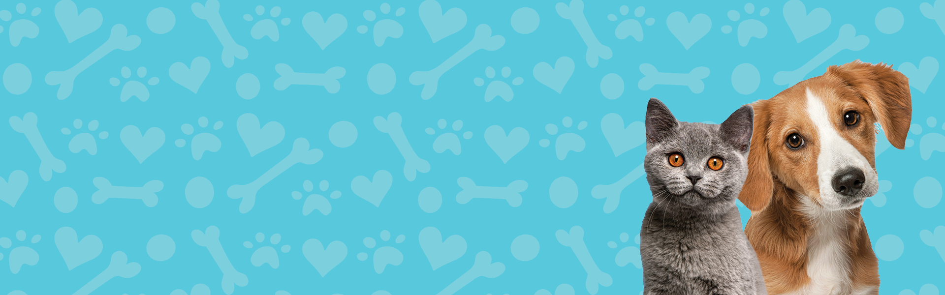 Animal Desexing Rebate