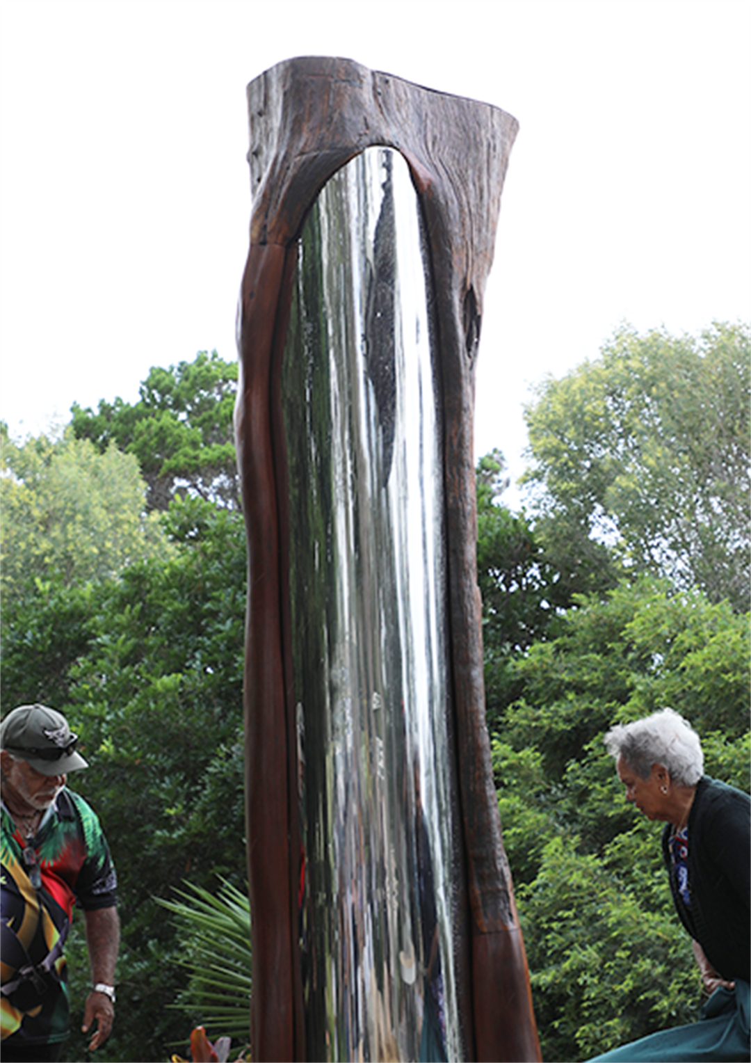 Dayman Park - Scar Tree | Fraser Coast Regional Council