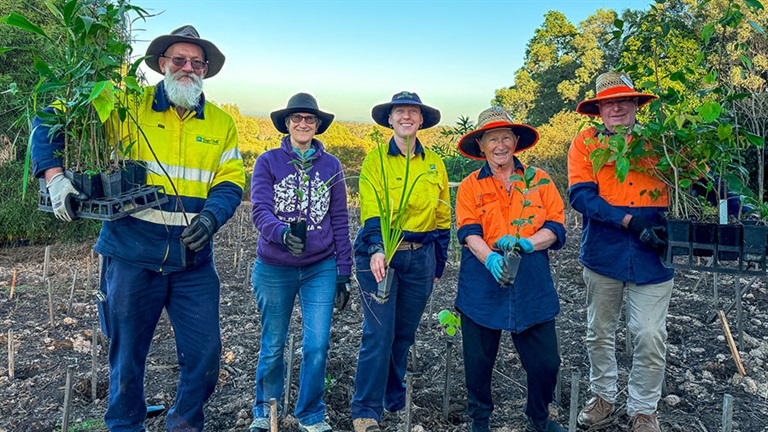 Community tree planting