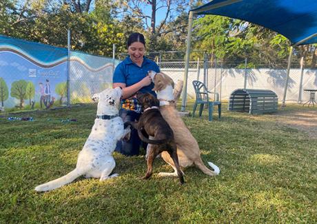 Fraser Coast Adoption Centre