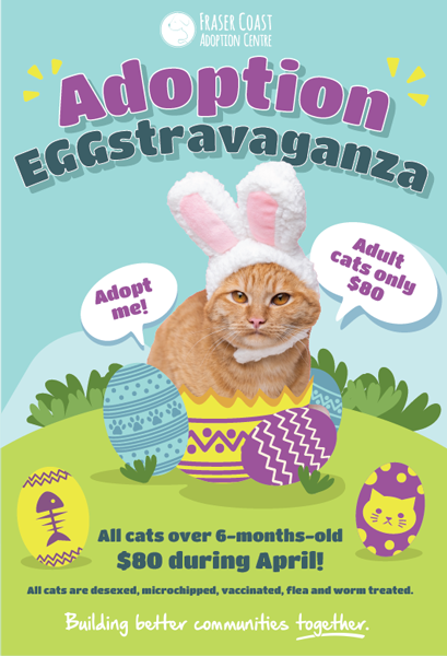 Adopt a cat