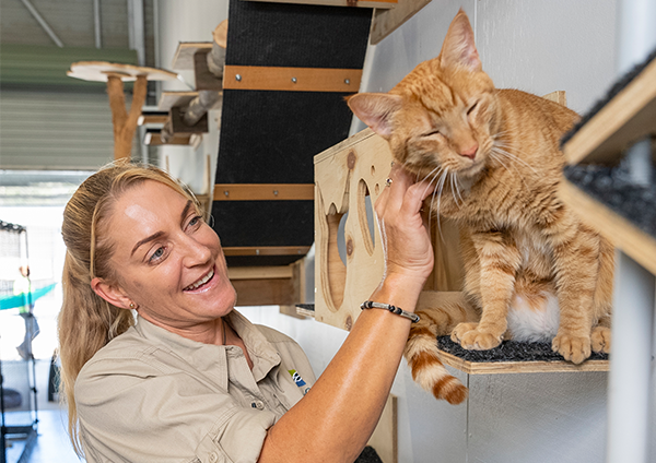 Adoption Centre surrender