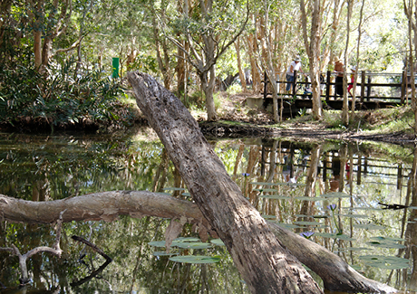 Arkarra Lagoons