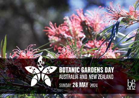 Botanic Gardens Open Day 2024