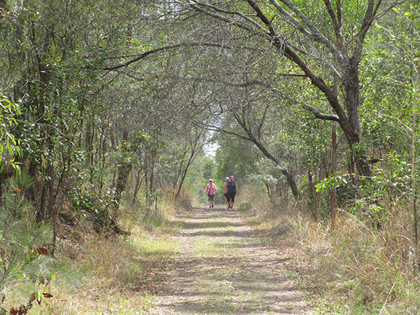 Mary to Bay Rail Trail - Photo by Bob Webley