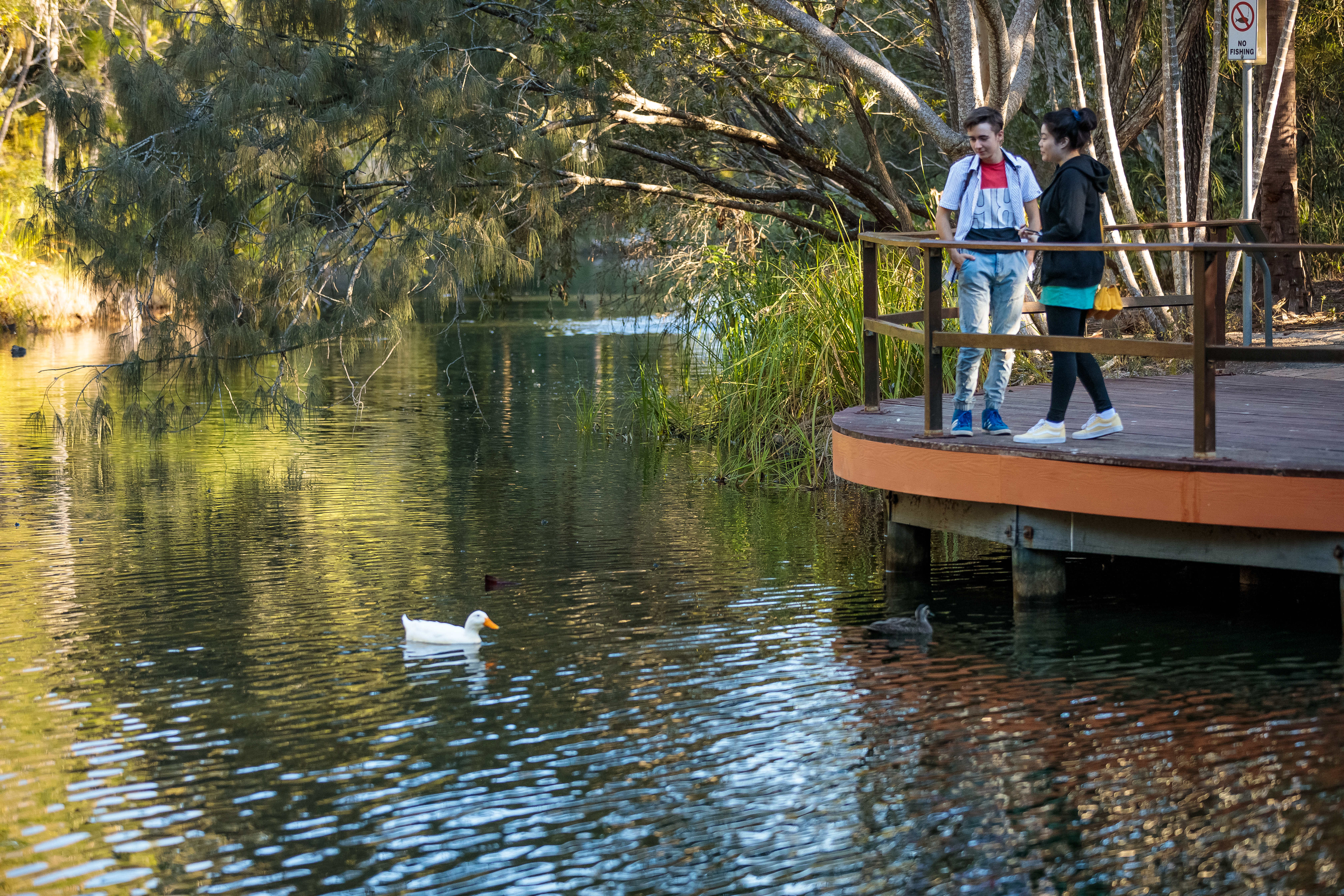Botanic gardens