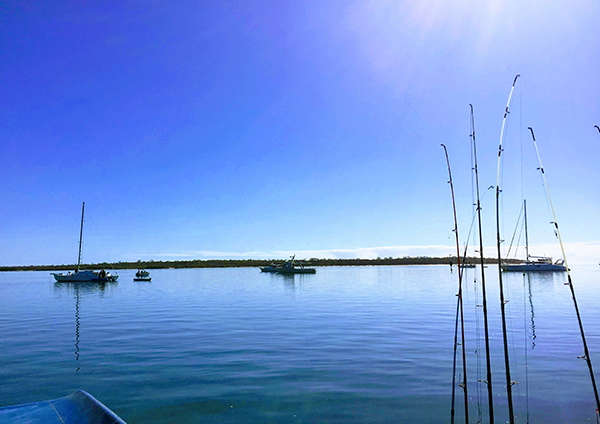 Burrum Heads Walkway
