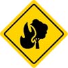 Bushfire - resized