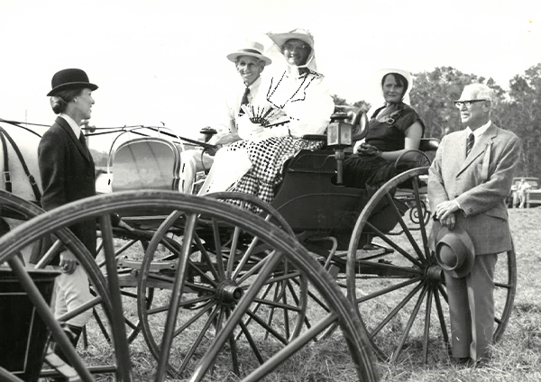 Local horseman could be honoured at showgrounds