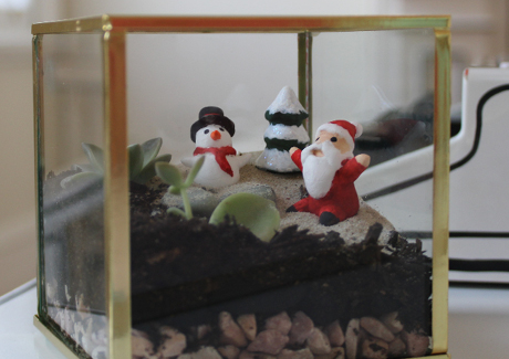 Christmas Terrarium