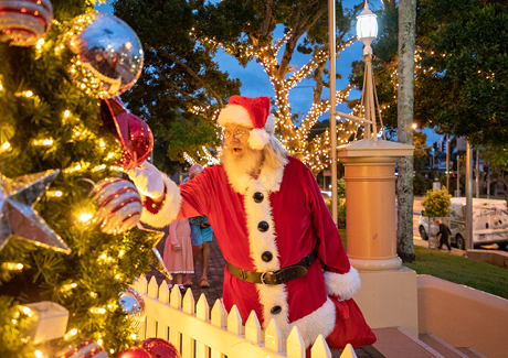 Maryborough Christmas Tree Lighting