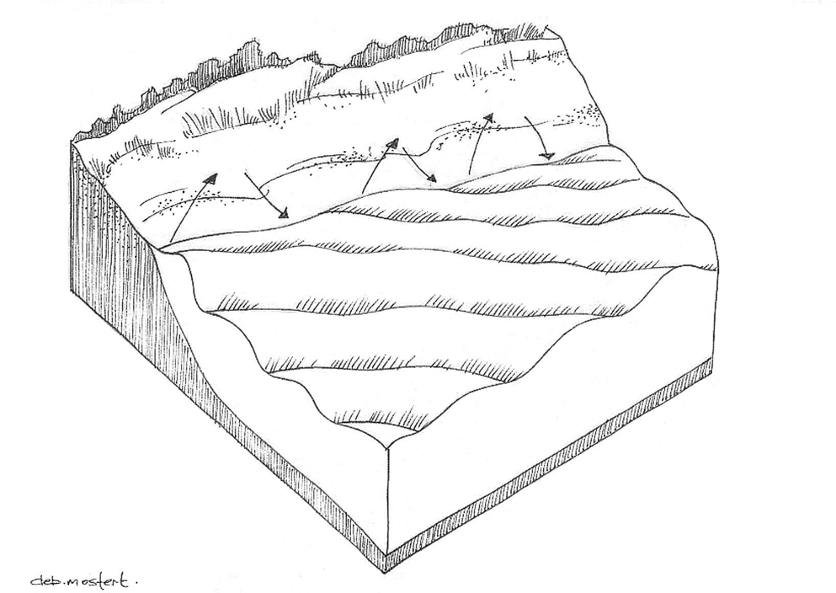 Coastal diagram