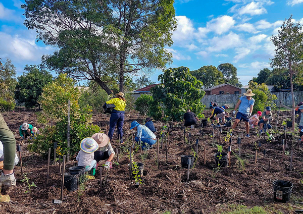 Community Tree Planting