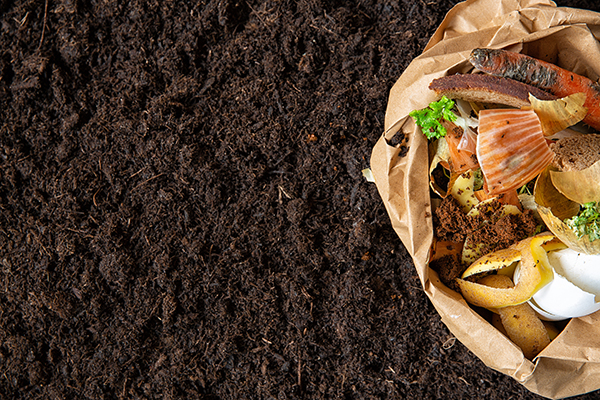 Compost workshop