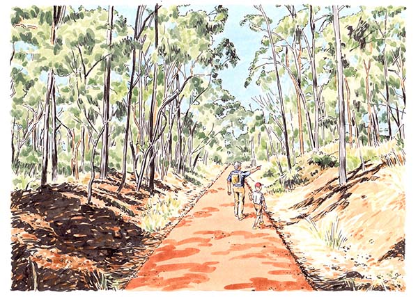 Artist impression rail trail