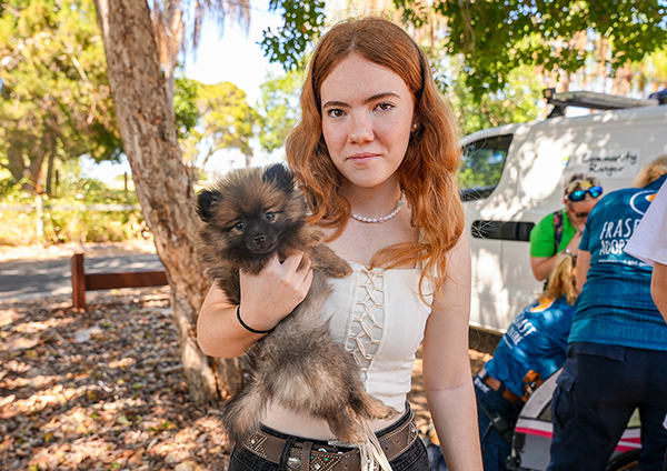 A Dog's Day Out returns in 2025