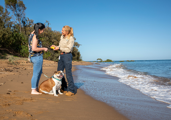 Dog registration inspection program