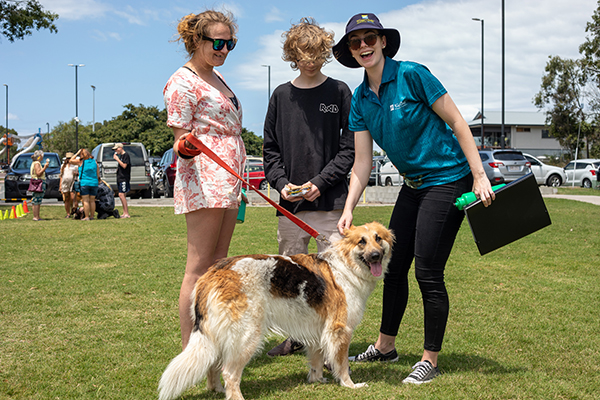 Dogs day out