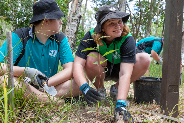 World Environment Day tree planting