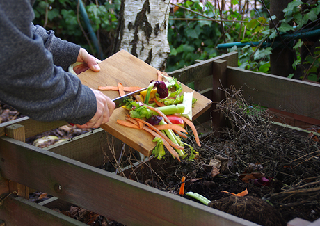 Environmental events composting event image