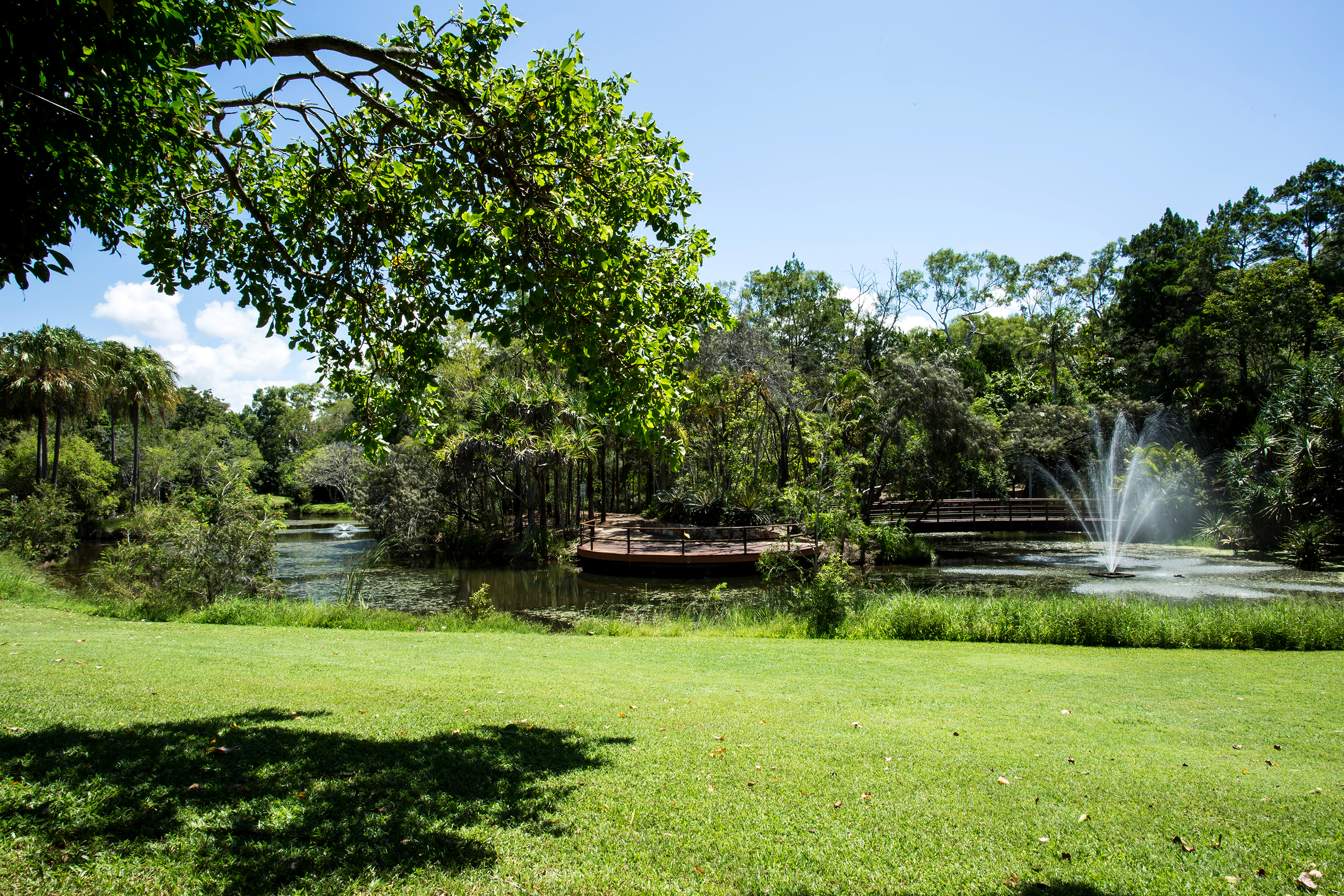 botanic gardens hervey bay