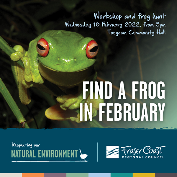 Help 'Find a Frog in February' on the Fraser Coast – Fraser Coast Regional  Council