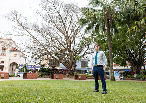 Maryborough City Hall - Fig Tree