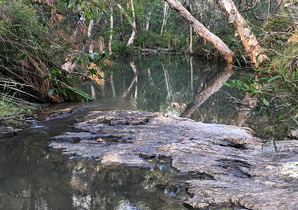 Fraser Coast Environment and Sustainability Advisory Committee