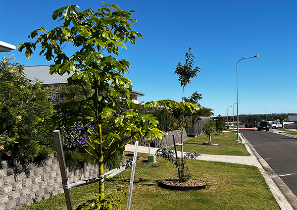 Greening