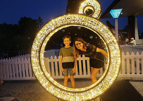Hervey Bay tree lighting