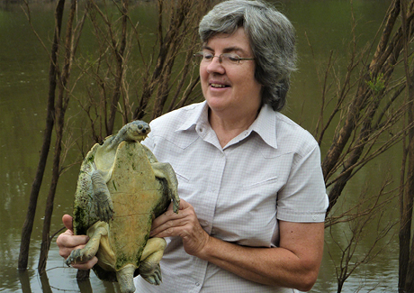 Marilyn Connell Turtle Wildlife Talk