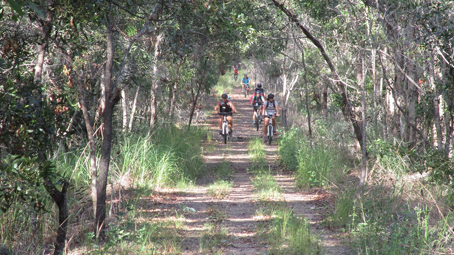 Mary to rail trail pic 2