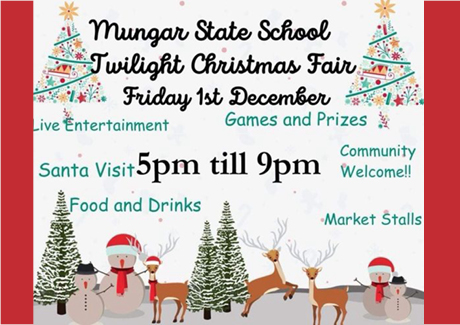 Mungar State School Twilight Christmas Fair