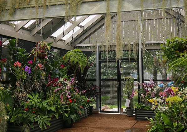 Orchid House